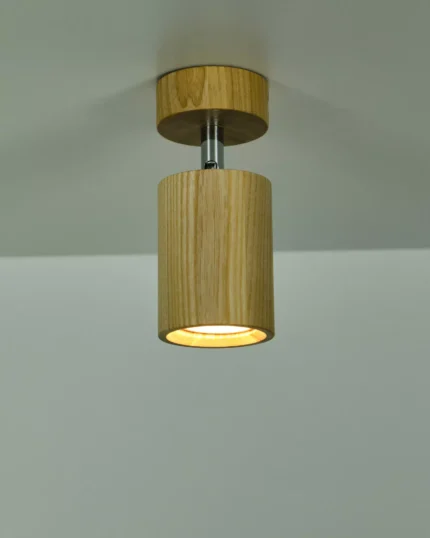 Настінно-стельовий світильник  ITERNA Arendal, 1XGU10, світлий ясен (LW031)