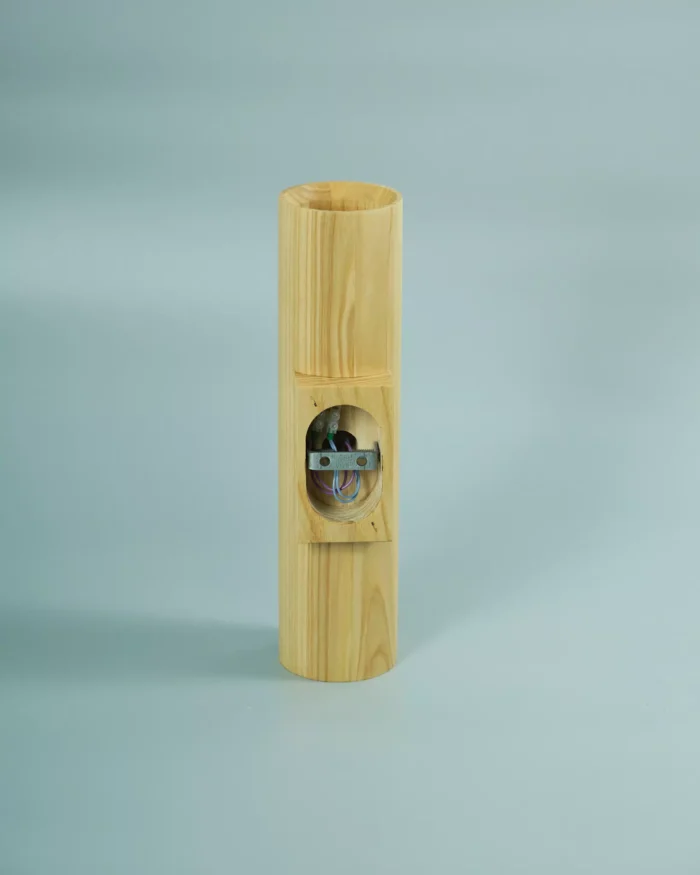 Світильник настіннний ITERNA Bodo, 2xGU10, cвітлий ясен (LW092)